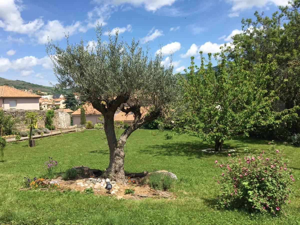 La Mesange Villa Millau Luaran gambar